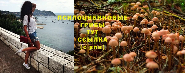 прущие крисы Алзамай