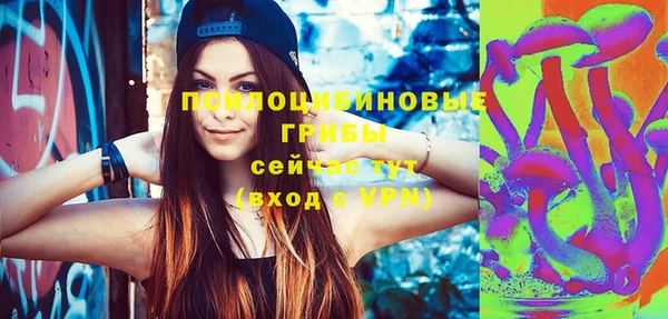 соль ск Алексеевка
