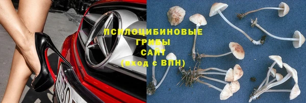 прущие крисы Алзамай