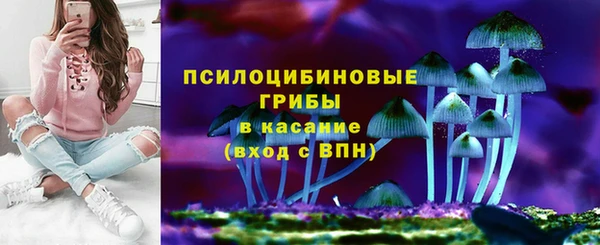 прущие крисы Алзамай